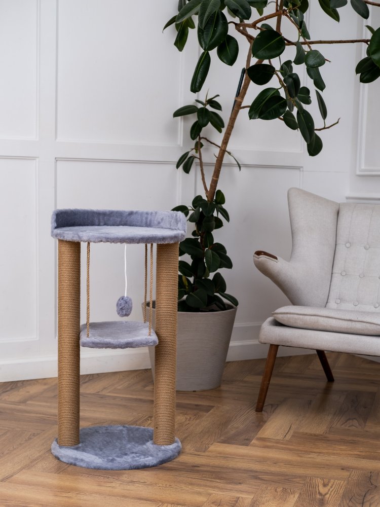 Когтеточка Джунгли серая