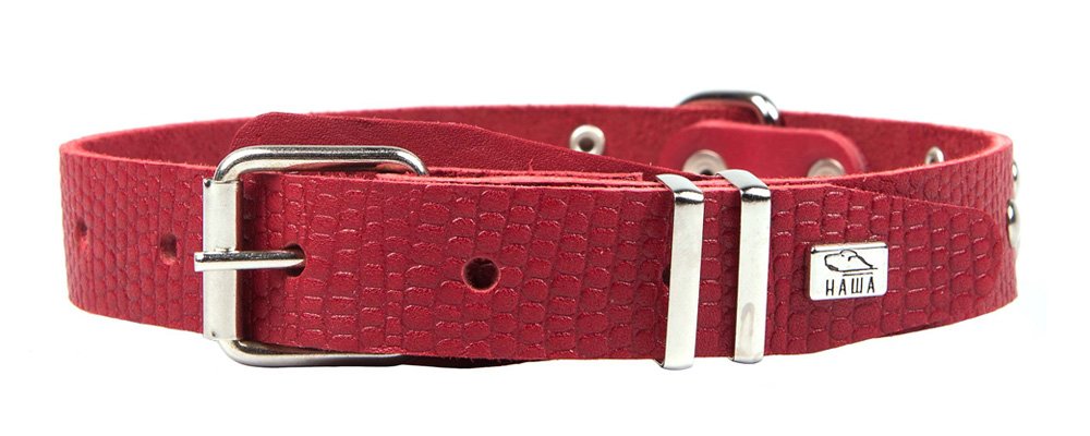 Ошейник 25 рептилия украшенный