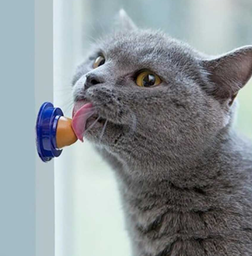 Игрушка  д/кошек Леденец 3.5х3.5см микс 10922-8775