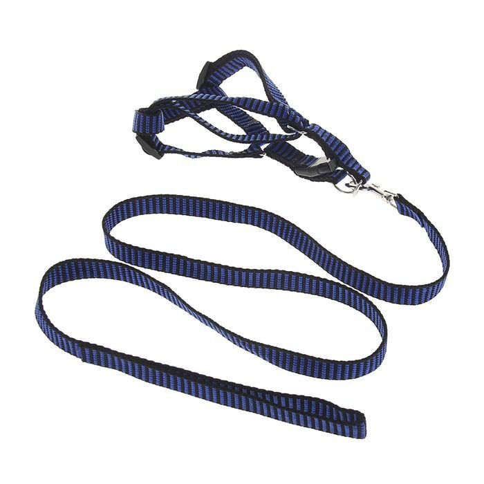 Комплект амуниции рельефный, 1,5 см, шлейка 36-49 см, поводок 120 см, сине-черный 1219921