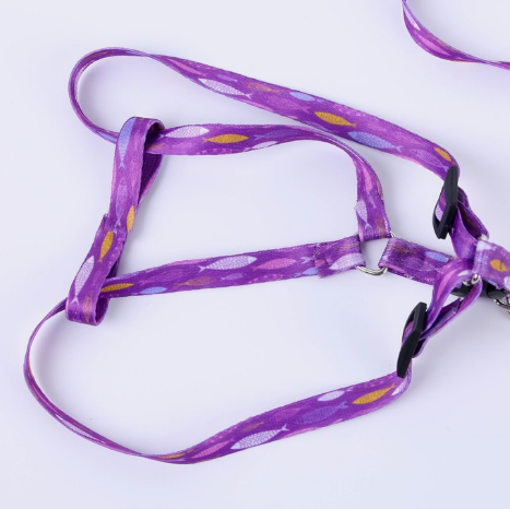 Комплект "Рыбки" капрон 1см 1-слойн шлейка 120 см 7557290