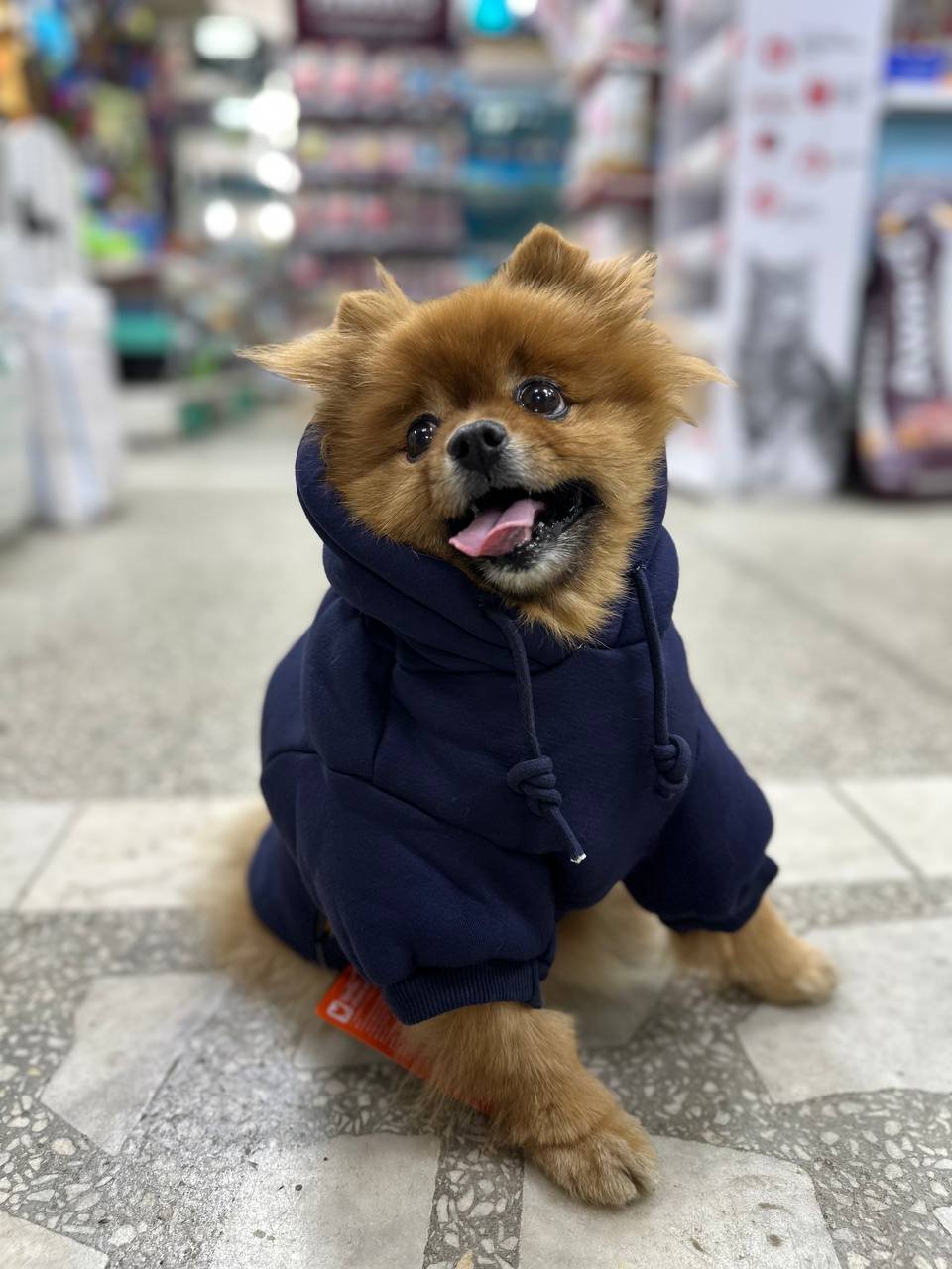 Толстовка с капюшоном для собак, утепленная, цвет синий, размер M, арт. POCT_BM