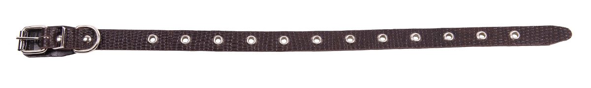 Ошейник 20 рептилия универсальный