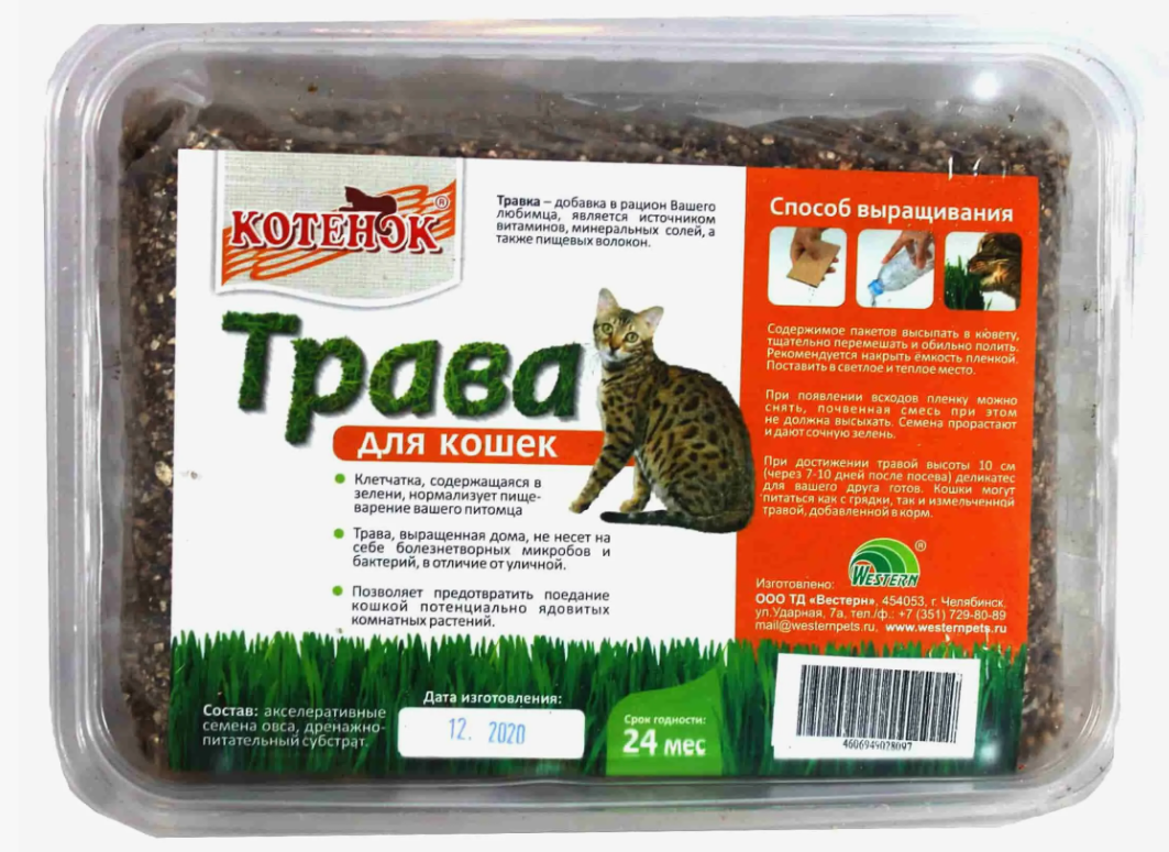 ТРАВКА ДЛЯ КОШЕК В БОЛЬШОМ КОНТЕЙНЕРЕ