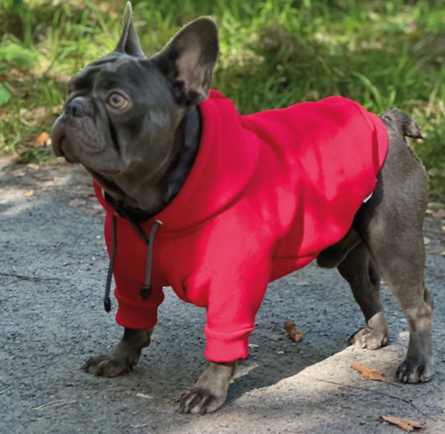8049 Толстовка для французского бульдога, цвет красный, размер S (вес 7-9кг)