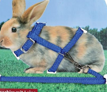 ШЛЕЙКА Д/МЕЛКИХ ГРЫЗУНОВ 10ММХ1.2М 6260