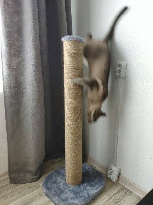 Когтеточка 40 сер