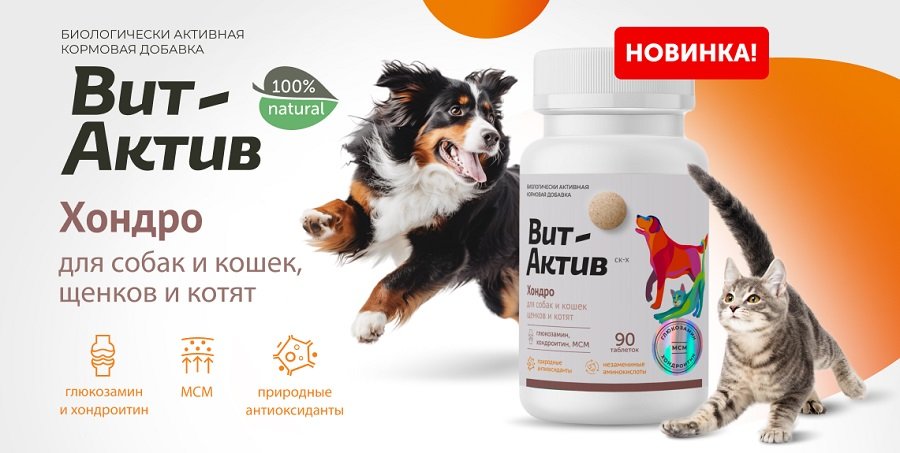 БИОЛОГИЧЕСКИ АКТИВНАЯ КОРМОВАЯ ДОБАВКА ВИТ-АКТИВ СК-Х ХОНДРО Д/СОБАК И КОШЕК 90таб