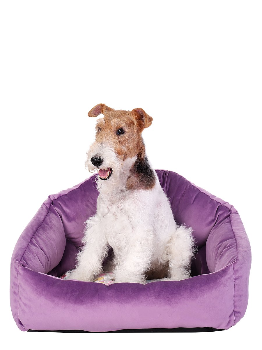 Лежак (Корона)60*45 Лавандовый