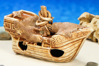 Сувенир аквариумный С 159 "Эспаньола" микс 1086117