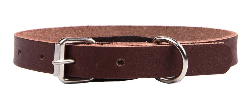 Ошейник 14 без украшений