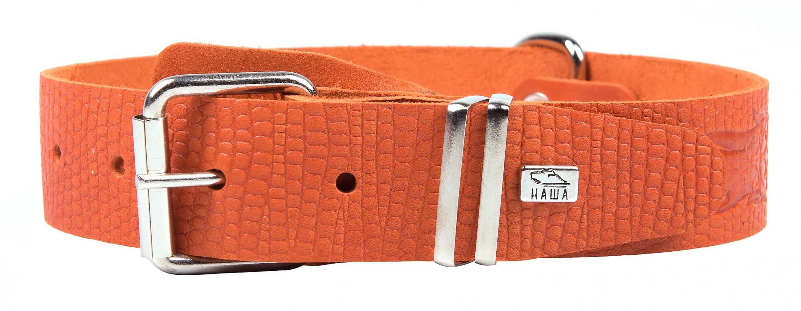 Ошейник 35 рептилия короткий тисненый