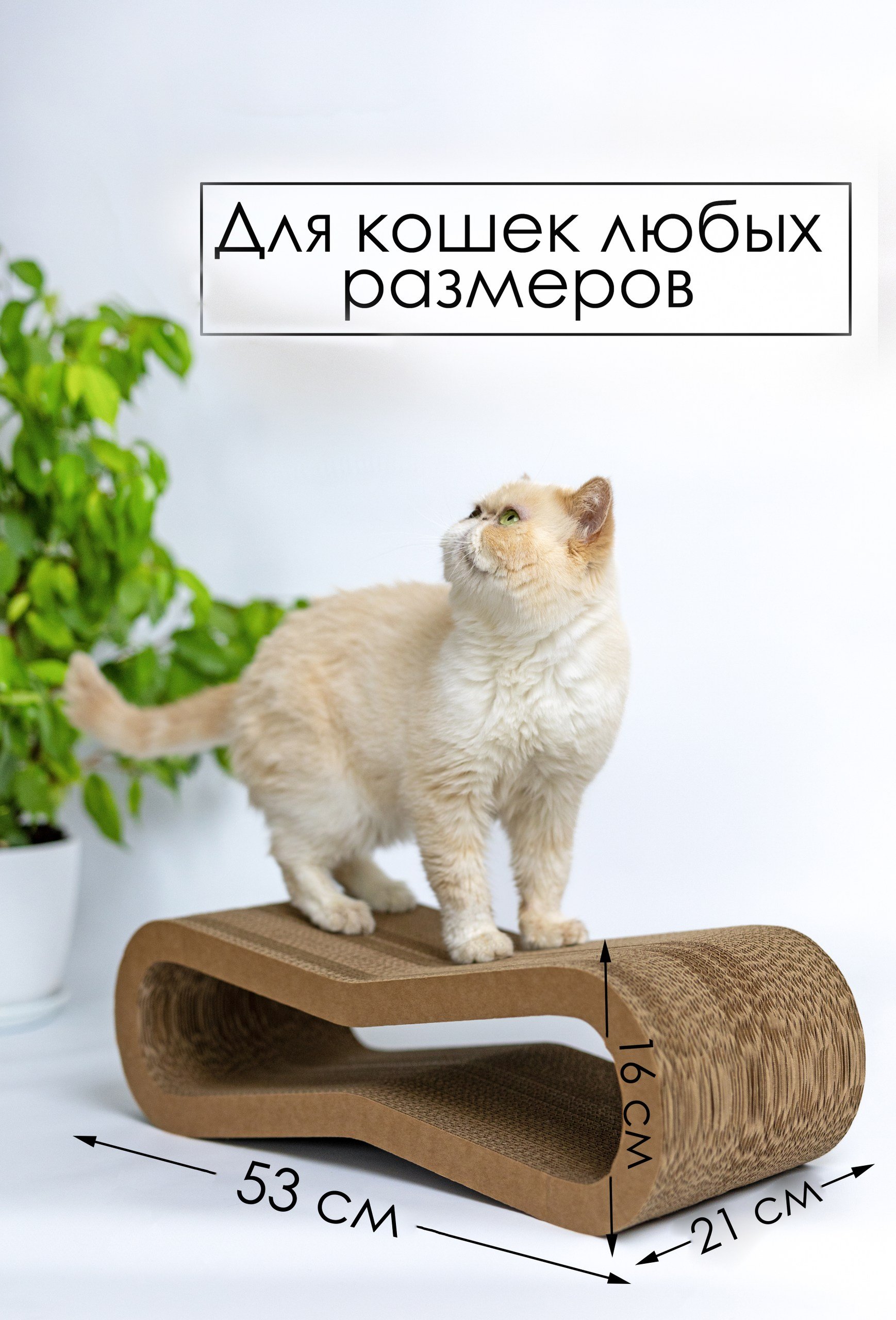 Когтеточка-лежанка картон "Зверьё Моё" восьмерка средняя 53х21х16см