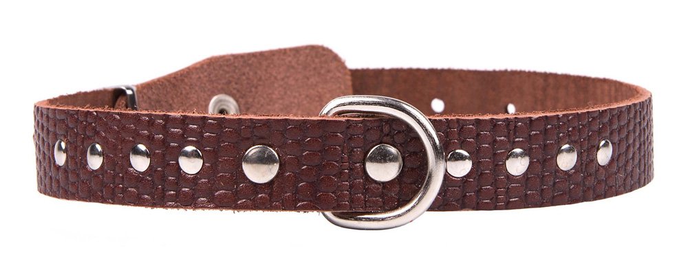Ошейник 20 рептилия украшенный