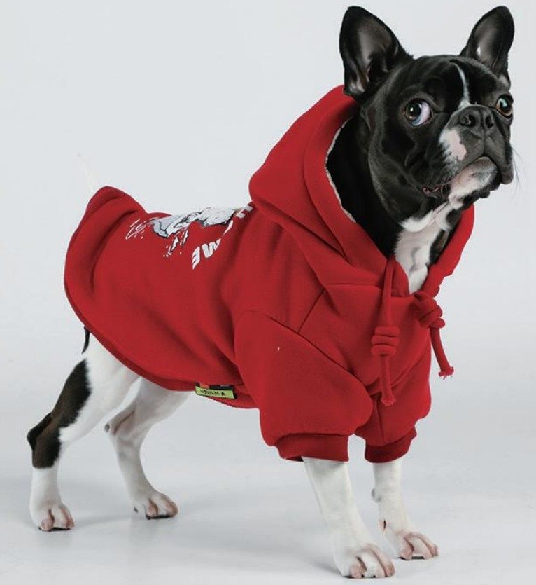 Толстовка с капюшоном для собак, утепленная, цвет зеленый, размер 2XL, арт. POCT_G2XL