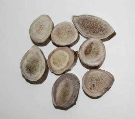 "ЖИВКУС" Лакомство из чипсов из сухого рога северного оленя