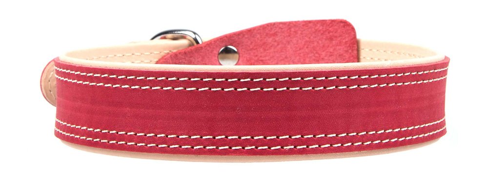 Ошейник 35 трехслойный короткий "ПРЕМИУМ"