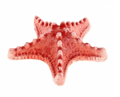 К-01к Звезда малая (красный)