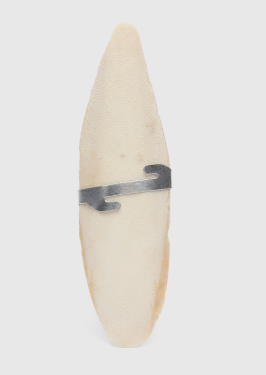 Минеральный камень (Панцирь каракатицы) для попугаев,улиток,черепах 25гр