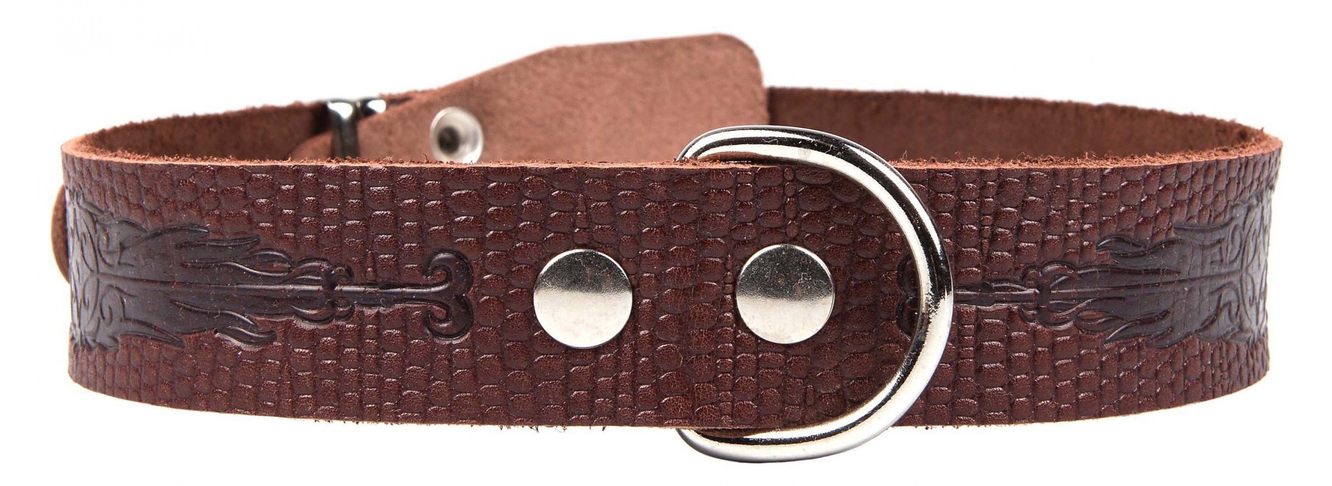 Ошейник 35 рептилия средний тисненый