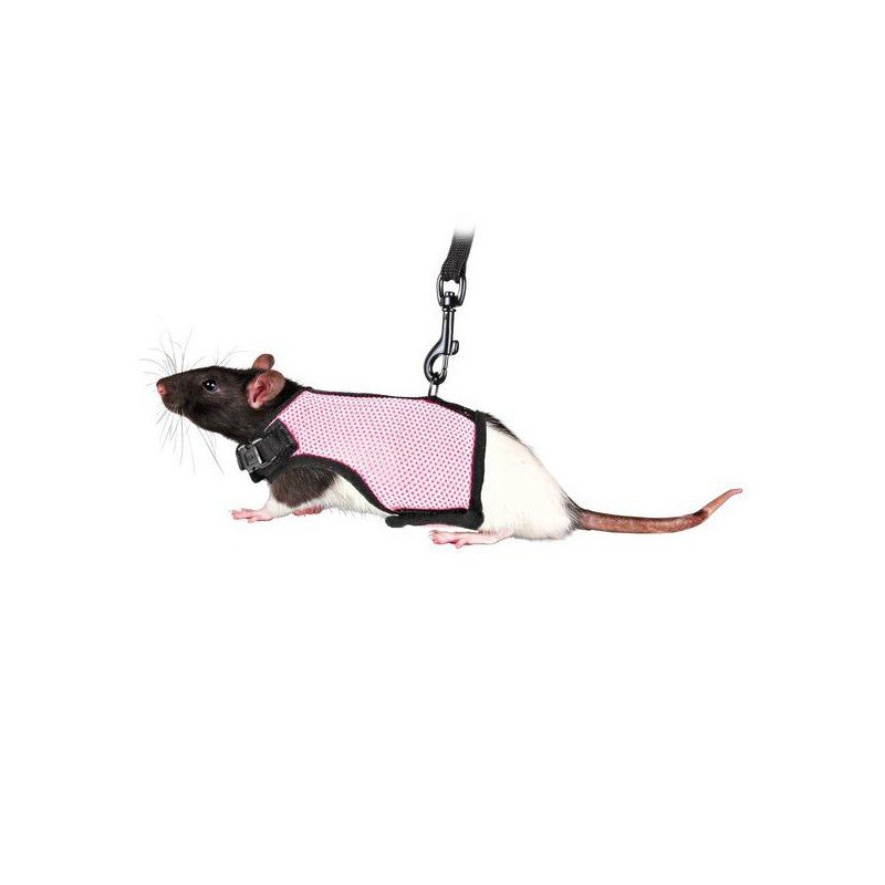 ШЛЕЙКА ЖИЛЕТКА Д/МОРСКОЙ СВИНКИ, КРЫСЫ 61511