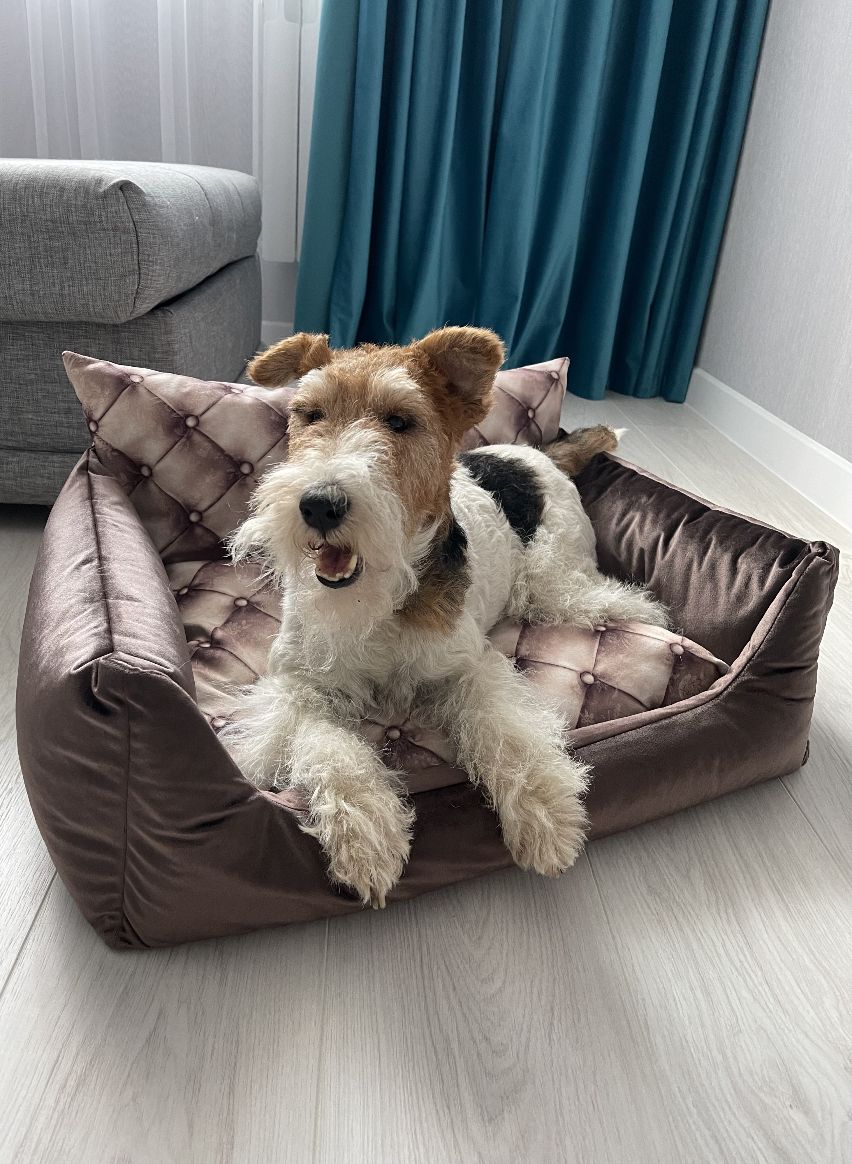 Лежак для собак и кошек (ТРОН) 50*40 Коричневый