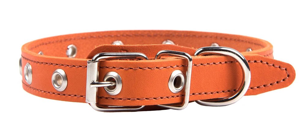 Ошейник 20 универсальный