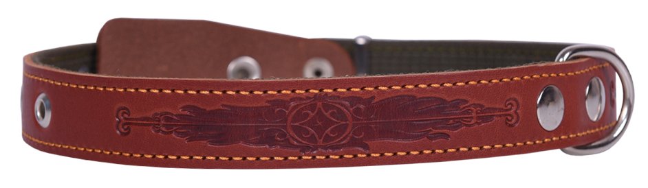 Ошейник 25 кожа+брезент тисненый