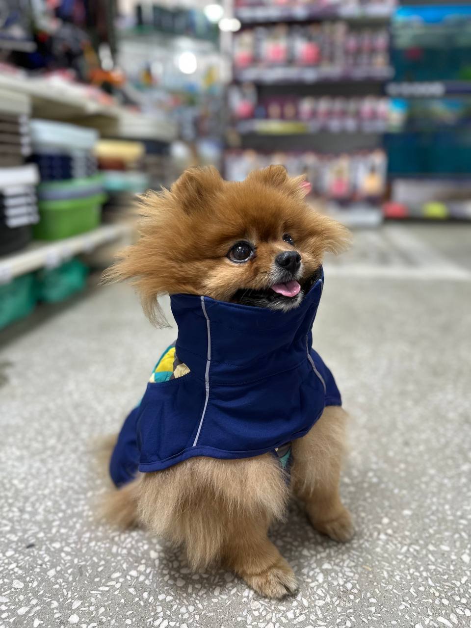 Попона  светоотражающий с треугольником для собак 55 Тёмно-синий  (унисекс), арт. 13010495