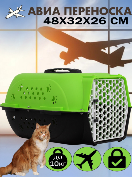 Авиа переноска для домашних животных "Чистый котик" 48*32*26 см зелёный