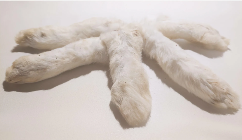 Передние лапки кролика (ШТ)