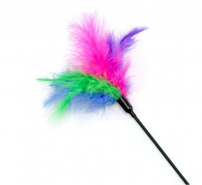 Игрушка-дразнилка NUNBELL д/кошек Перья на палочке c пружинкой l=43см, с колокольчиком микс арт.3091