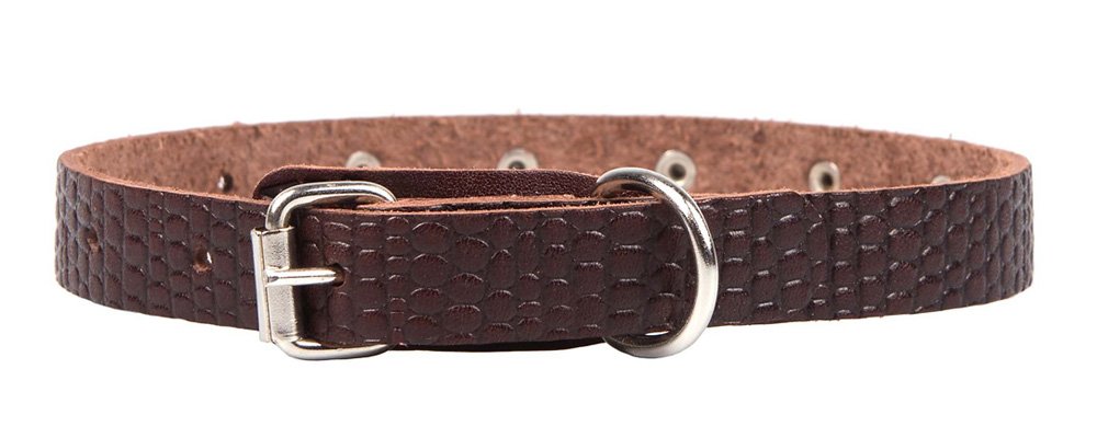 Ошейник 14 рептилия украшенный