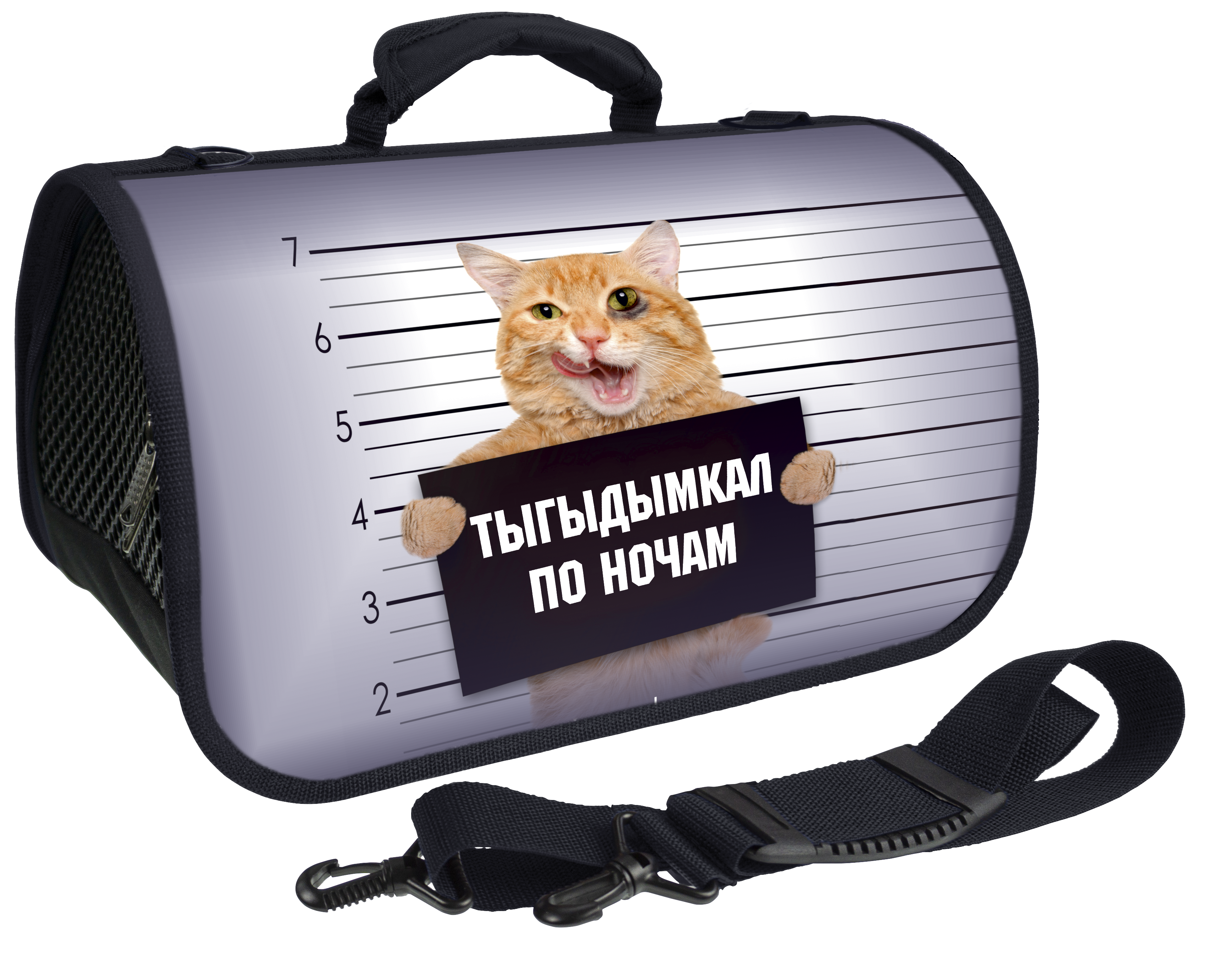 Сумка переноска "Тыгыдымкал по ночам" 43х25х24 ZD-3-117-322-2