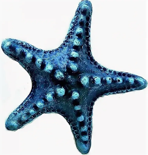 Кр-2123 Звезда средняя синяя