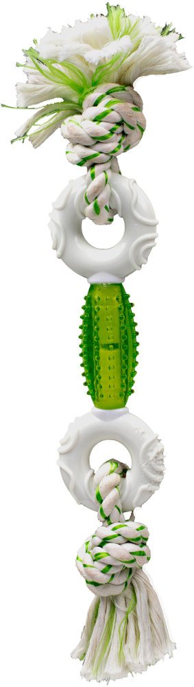 CanineClean игрушка для собак Регби и 2 кольца нейлон/синтетическая резина 39 см с ароматом мяты, зе