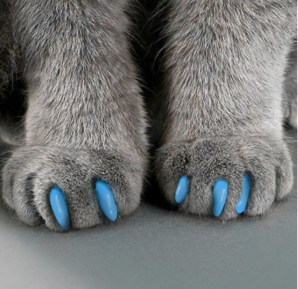 Когти накладные "Антицарапки", размер S, голубые 2640769