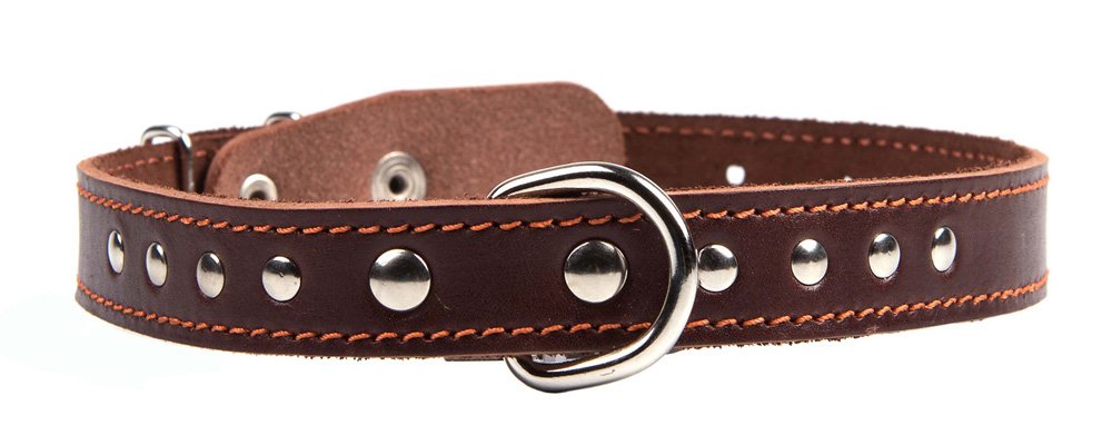 Ошейник 20 украшенный