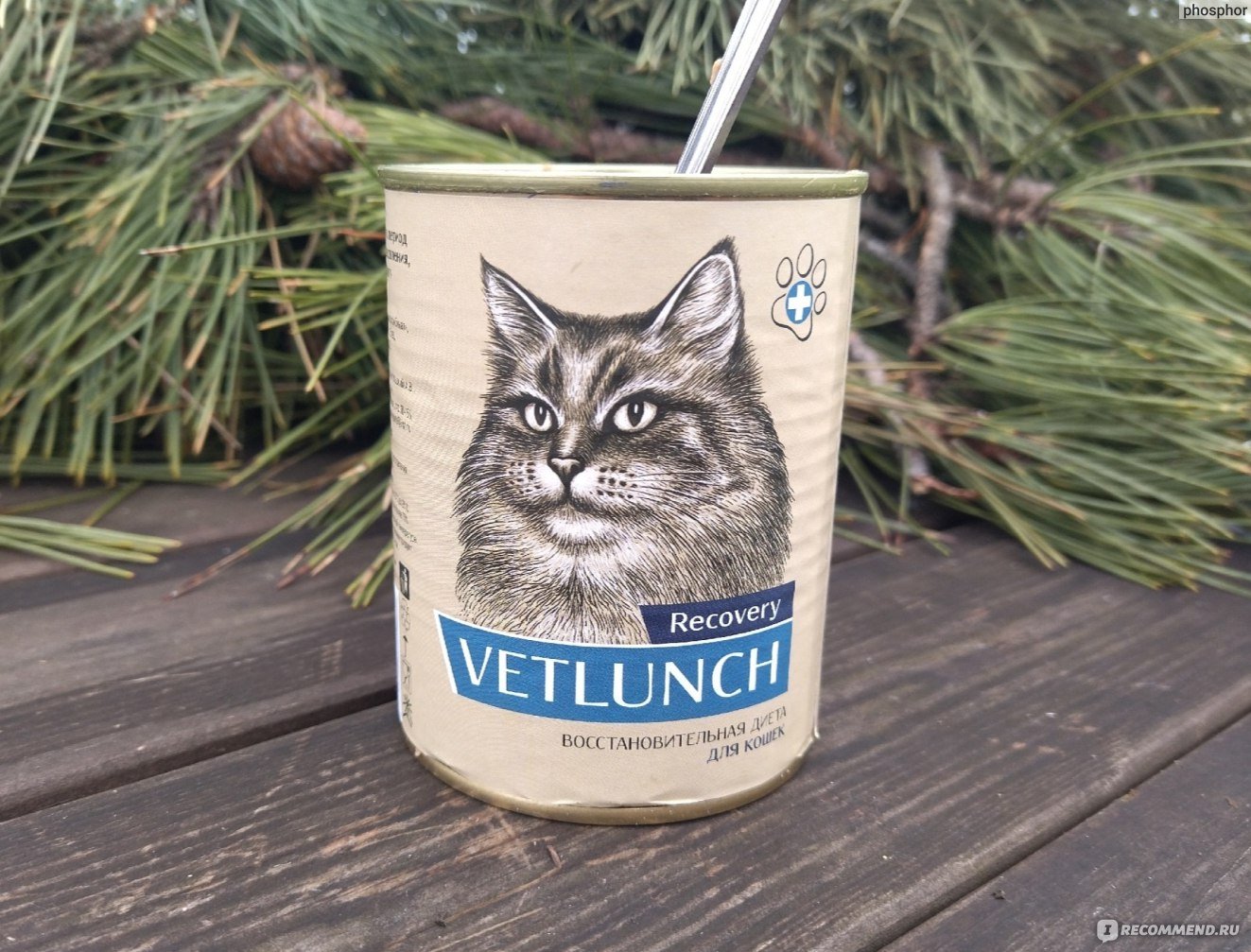 "VETLUNCH " КОНС Д/КОШЕК 340г ПРОФИЛАКТИКА БОЛЕЗНЕЙ ЖЕЛУДОЧНО-КИШЕЧНОГО ТРАКТА 0598