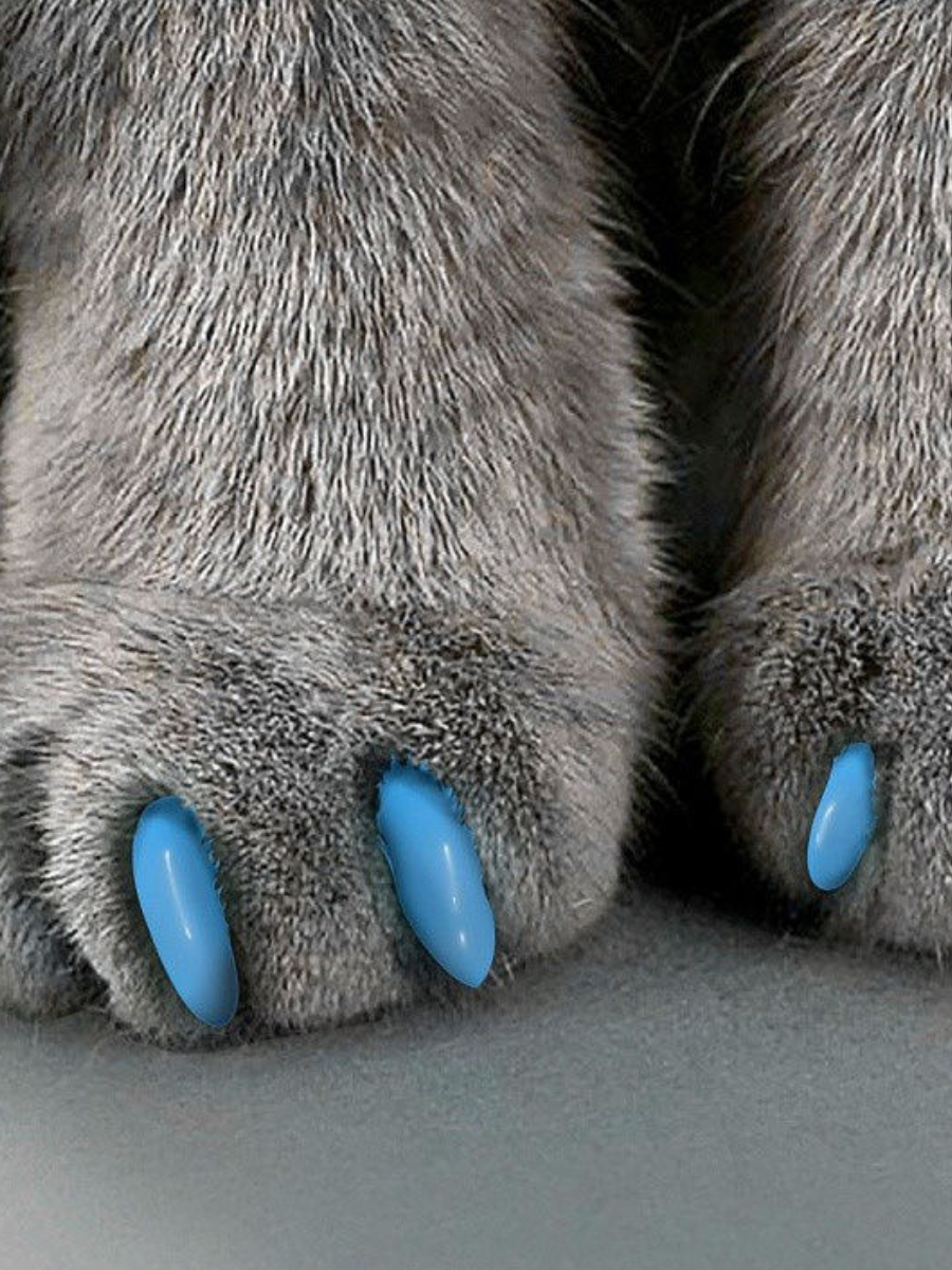 Когти накладные "Антицарапки", размер S, голубые 2640769