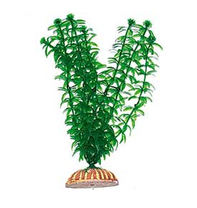 РАСТЕНИЕ "ТРИТОН" ПЛАСТМАССОВОЕ 19см (1984) (К-Й)