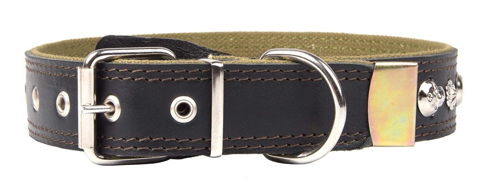 Ошейник 35 кожа+брезент украшенный