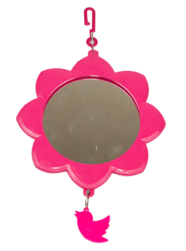 5206  Зеркало для птиц "Солнышко" с пластиковым подвесом